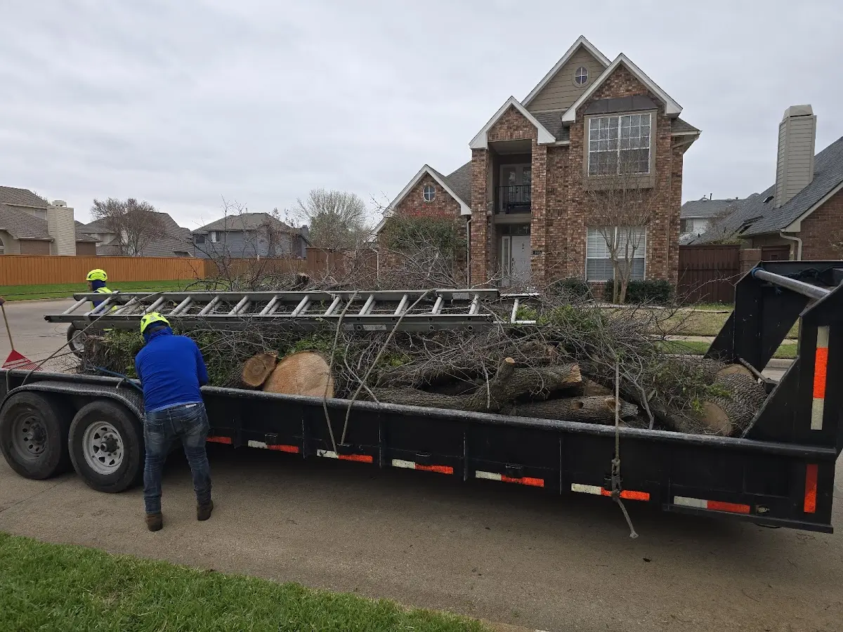 Expert Tree Pest Control with proper safety equipment in Abington